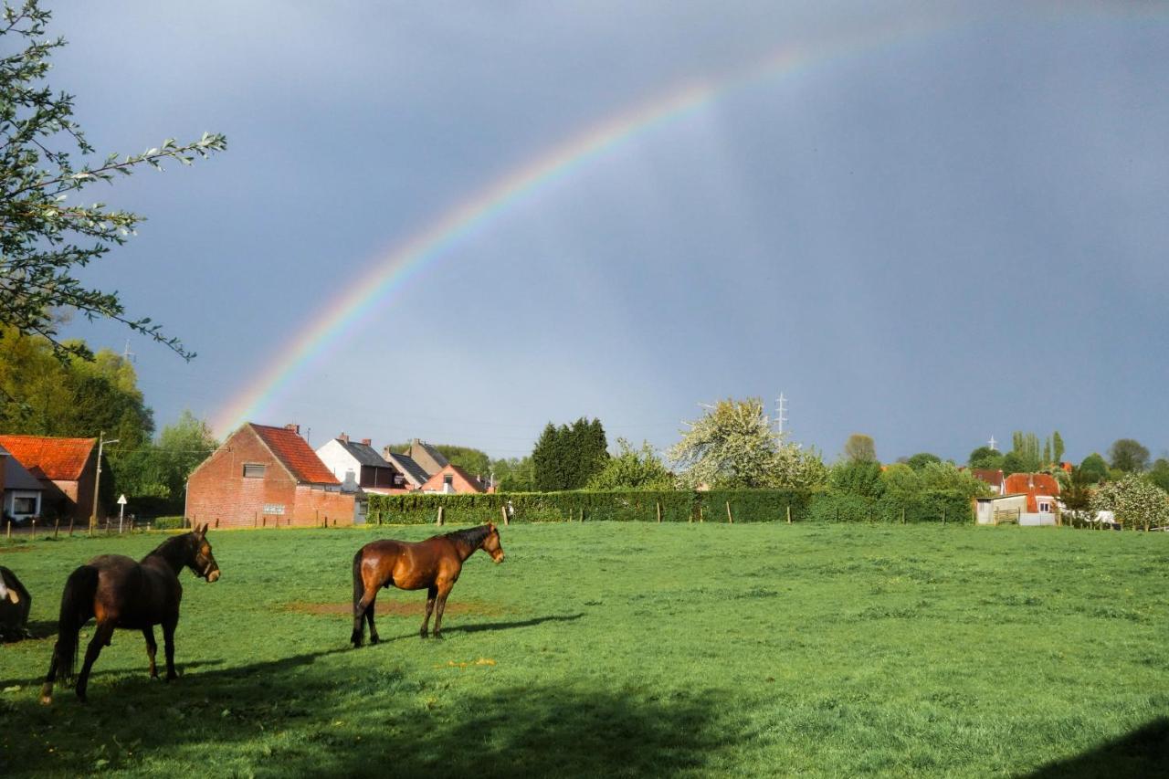 Gite Rural Les Petites Tetes Leuze-en-Hainaut Exteriör bild