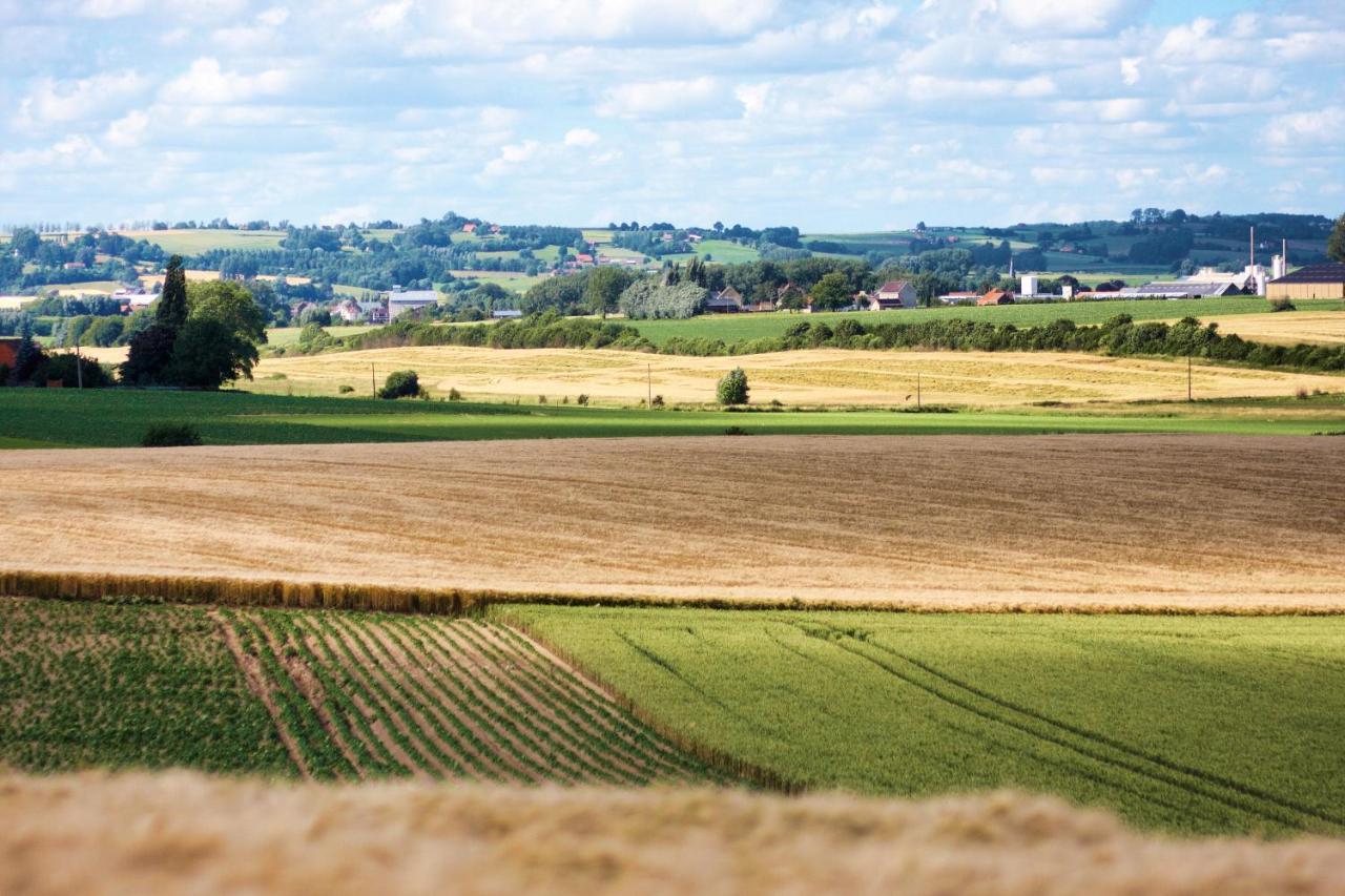 Gite Rural Les Petites Tetes Leuze-en-Hainaut Exteriör bild