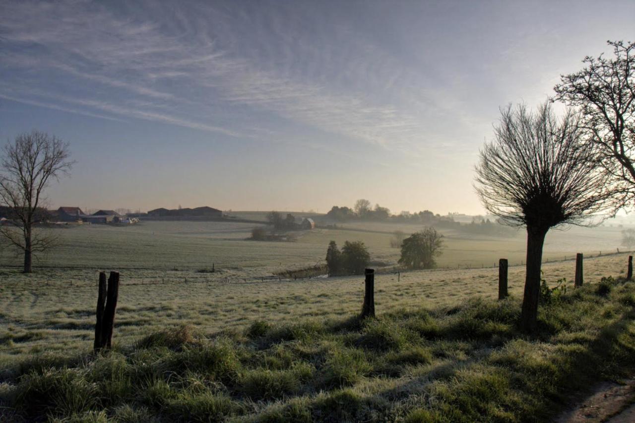 Gite Rural Les Petites Tetes Leuze-en-Hainaut Exteriör bild
