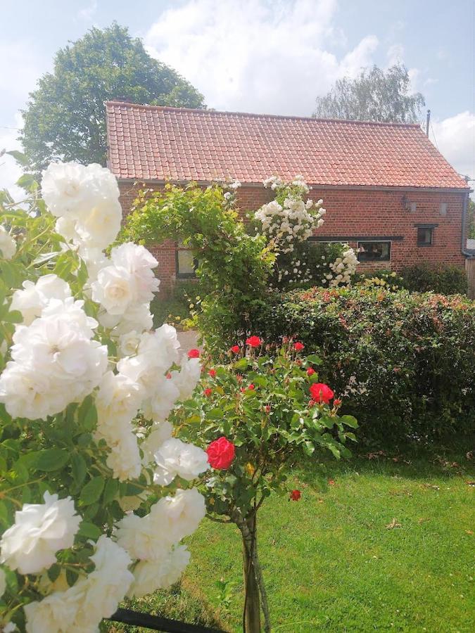Gite Rural Les Petites Tetes Leuze-en-Hainaut Exteriör bild